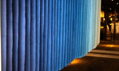 Teintures_de_Kenta Watanabe Shibori