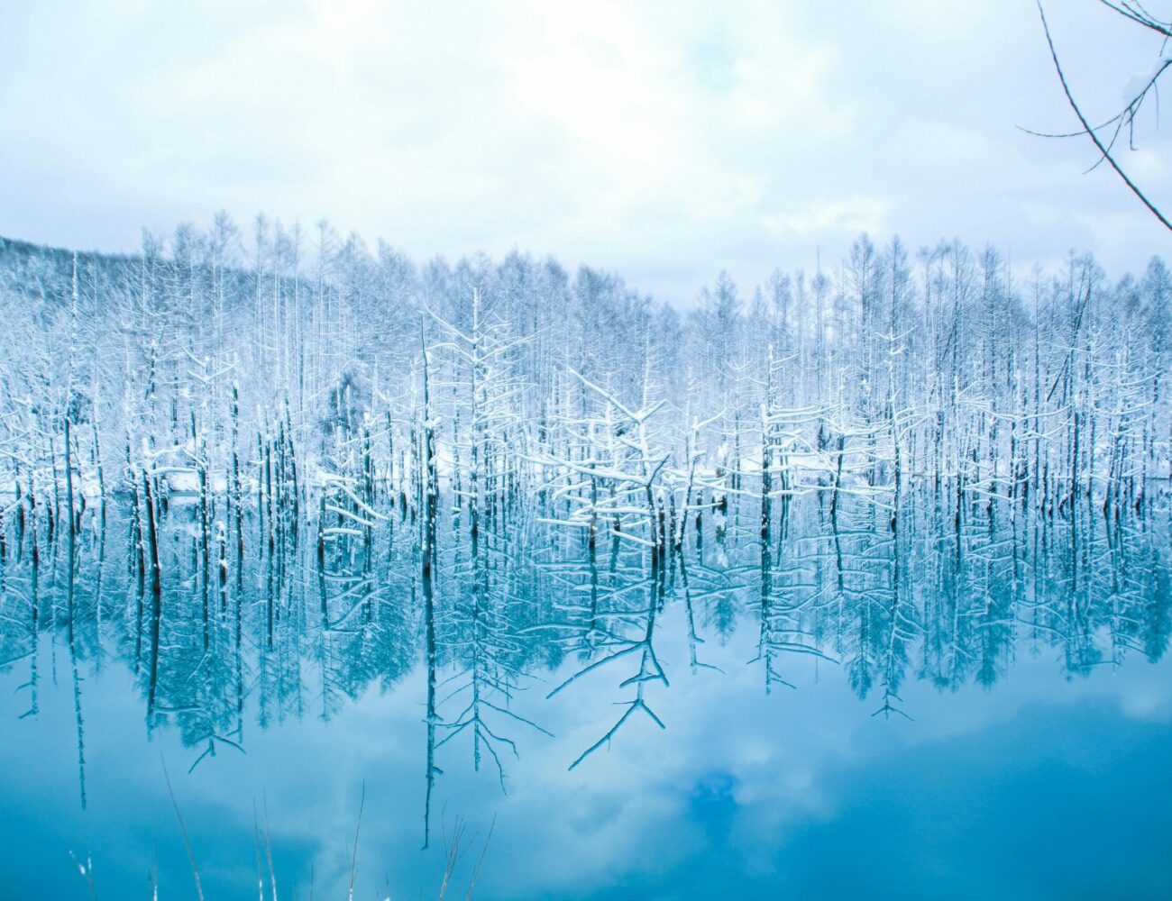 Hokkaido, le Japon sauvage Culture Japon 33