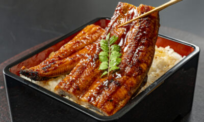 Unagi