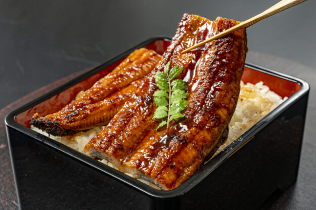 Unagi