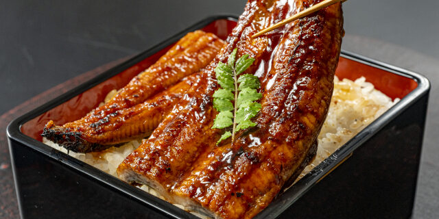 34717791_s Unagi