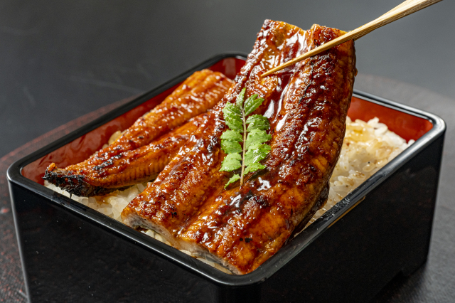 34717791_s Unagi